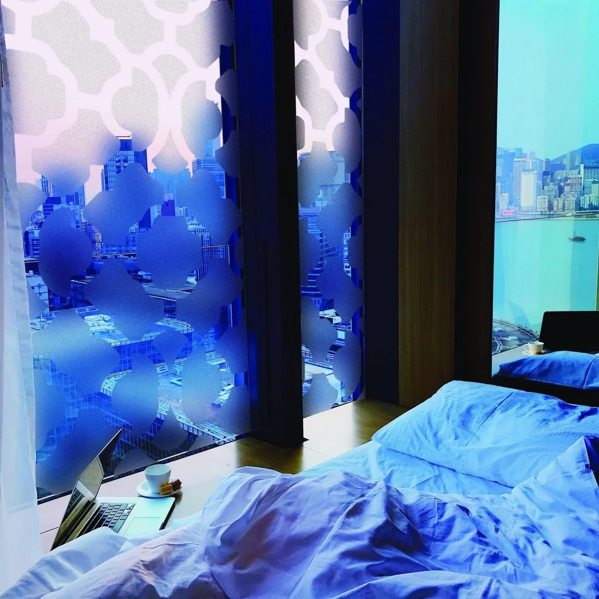 Stylish Privacy Glass Window Film - Decorative Static Cling Window Covering Film